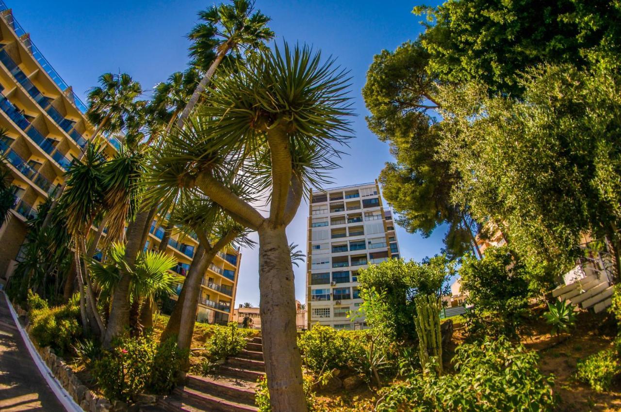 בנאלמדנה Alay Apartment & Pool 2 Bedroom מראה חיצוני תמונה